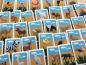 Preview: Etsi ja löydä! Safariseikkailu Safari-Abenteuer-Spiel
