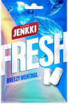 Jenkki Fresh Breezy Menthol Xylitol Kaugummis